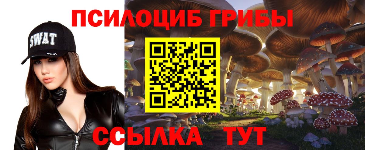 Псилоцибиновые грибы прущие грибы Кулебаки